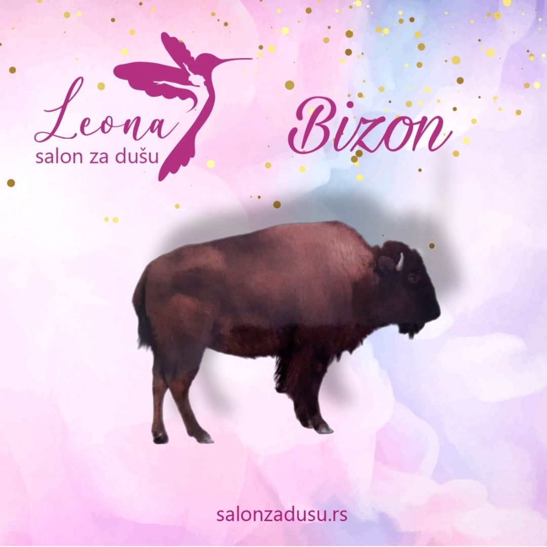 Salon za dušu